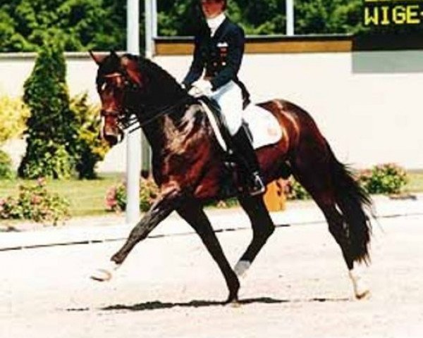 stallion Freudentänzer (Westphalian, 1984, from Frühlingstraum II)