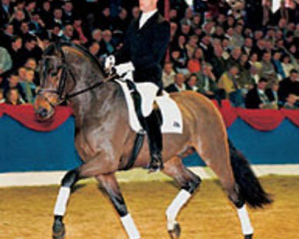 stallion San Rubin (Oldenburg, 2000, from Sandro Hit)