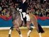 stallion San Rubin (Oldenburg, 2000, from Sandro Hit)