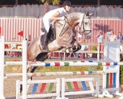 jumper Dancing Devil 6 (German Sport Horse, 2005, from Unbekannt)