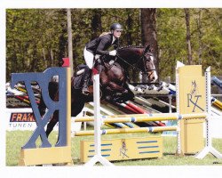 jumper Latino 334 (German Warmblood, 2008)