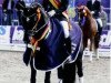 dressage horse Noir de Luxe (German Riding Pony, 2004, from Heidbergs Nancho Nova)
