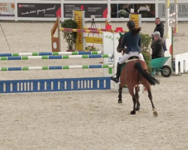 Springturnier Memmingen 2022