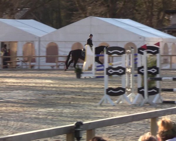 Reitturnier Kropp 2022