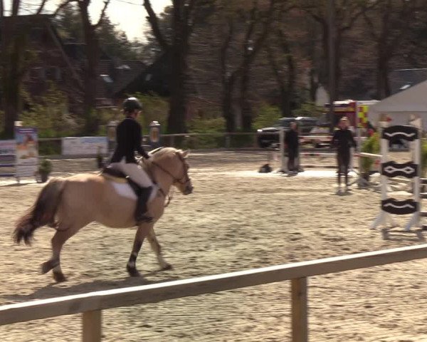 Reitturnier Kropp 2022