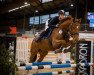 jumper La Boum 21 (German Warmblood, 2016, from Leon 161)