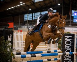 jumper La Boum 21 (German Warmblood, 2016, from Leon 161)