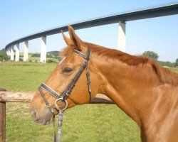 broodmare Ariane (Rhinelander, 1985, from Alme Star)