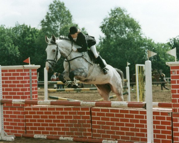 broodmare Indianagirl (Oldenburg, 1980, from Inschallah AA)