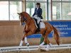 dressage horse Marburg's Fabiano (Hanoverian, 2002, from Fürst Heinrich)