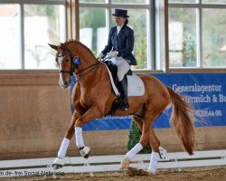 dressage horse Marburg's Fabiano (Hanoverian, 2002, from Fürst Heinrich)