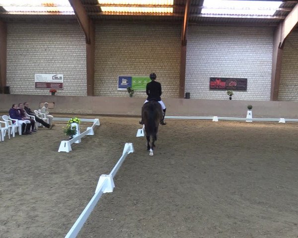 Reitturnier Kamen 2022