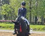 dressage horse Dante Veltino (Hanoverian, 2011, from Wolkenstein II)