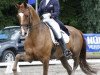 dressage horse Royal Classic 7 (Hanoverian, 1998, from Rohdiamant)