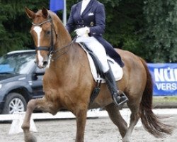 dressage horse Royal Classic 7 (Hanoverian, 1998, from Rohdiamant)