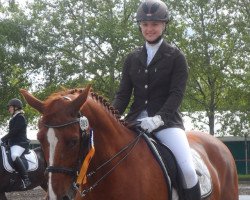 dressage horse Doni (Württemberger, 2002, from Donnerprinz)