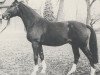 Pferd Luckner (Hannoveraner, 1966, von Lugano I)