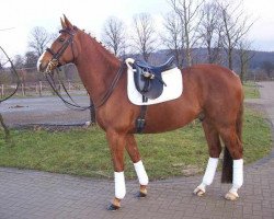 horse Asterix xx (Thoroughbred, 2001)