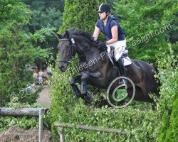 dressage horse Finura (Westphalian, 2005, from Francoli)