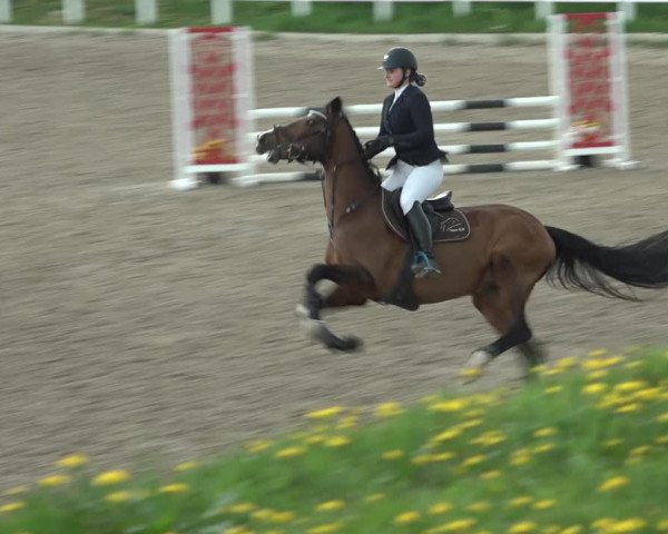 Reitturnier Ried am Riederberg 2022
