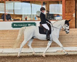 dressage horse Carinjo 17 (Hanoverian, 2004, from Competent)