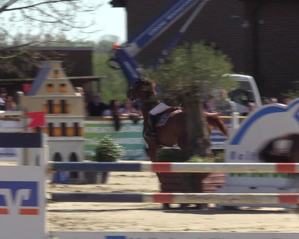 Lenklarer Reitertage 2022 (Werne)