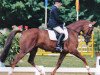 broodmare Italia IV (Trakehner, 1995, from Caprimond)