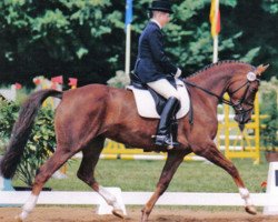 broodmare Italia IV (Trakehner, 1995, from Caprimond)