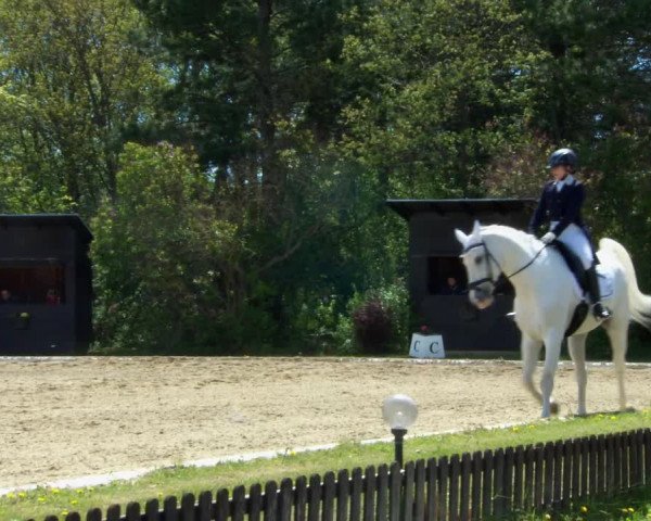 Reitturnier Kottingbrunn 2022
