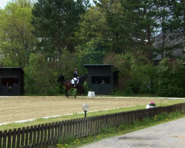 Reitturnier Kottingbrunn 2022
