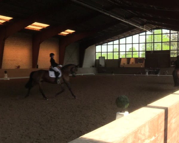 Reitturnier Kamen 2022