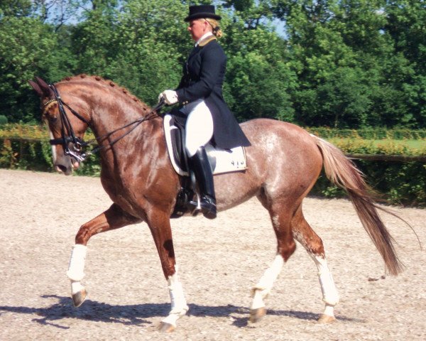 dressage horse Cleopatra (Holsteiner, 1998, from Cavalir)