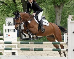 jumper Printings Pola Z (Zangersheide riding horse, 2008, from Potential)