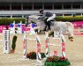 jumper Chambery 27 (KWPN (Royal Dutch Sporthorse), 2007, from Berlin)