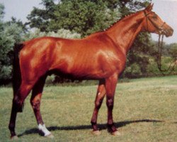 dressage horse Peu a Peu (Trakehner, 1994, from Kennedy)