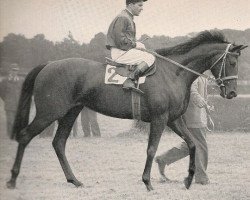 broodmare Ischia xx (Thoroughbred, 1953, from Ticino xx)