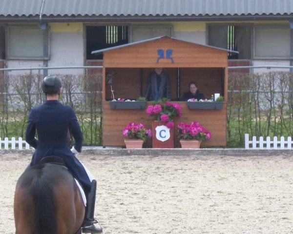 Reitturnier Gerasdorf bei Wien 2022