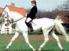 stallion Vespucci (Trakehner, 1970, from Condus)