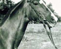 broodmare Larthi (Trakehner, 1974, from Kassio)