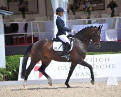 dressage horse Dj Delux (Hanoverian, 2009, from Diamond Hit)