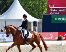 dressage horse Qui'Well (Hanoverian, 2013, from Quaterhall)