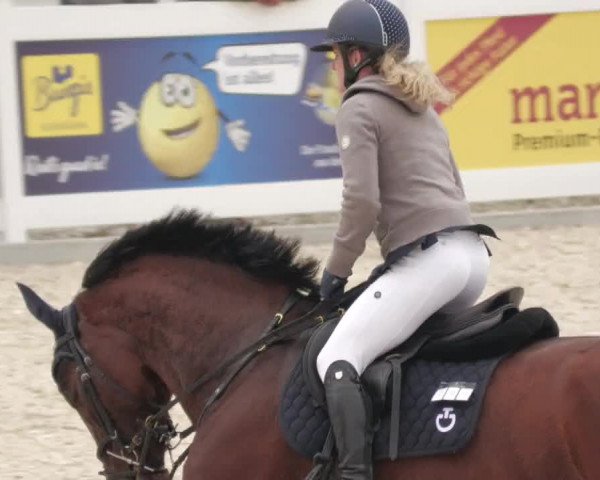 Springturnier Memmingen 2022