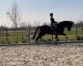 dressage horse Donna Nera 3 (KWPN (Royal Dutch Sporthorse), 2015, from Dundee M)