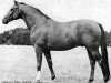 stallion Idol (Trakehner, 1968, from Herbststurm)