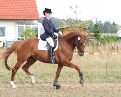 Zuchtstute Fabelmond (Trakehner, 1997, von Caprimond)