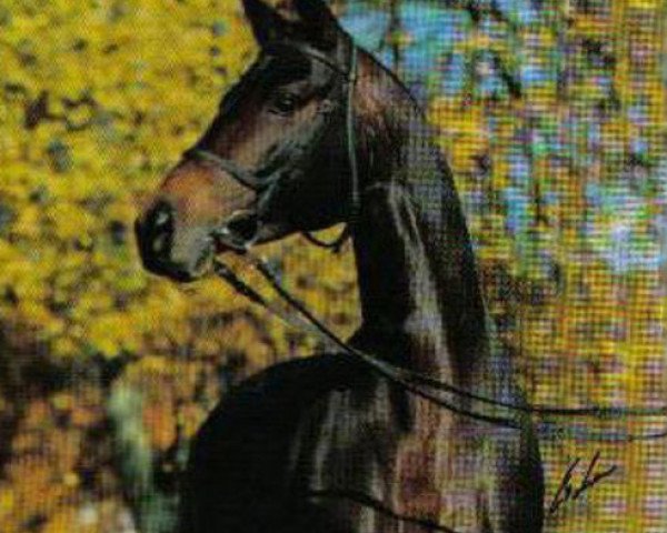 stallion Gadsby (Trakehner, 1989, from Karon)