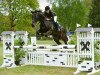 jumper Contraire 2 (Hanoverian, 2005, from Contendro I)