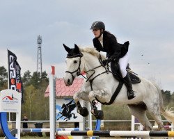 Springpferd Lucca Toni (Deutsches Sportpferd, 2009, von Lipsius)