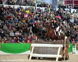 broodmare Gio Conda 3 (Trakehner, 2006, from Motley xx)