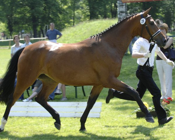 broodmare Aphrodite THD (Bavarian, 2004, from Abanos)